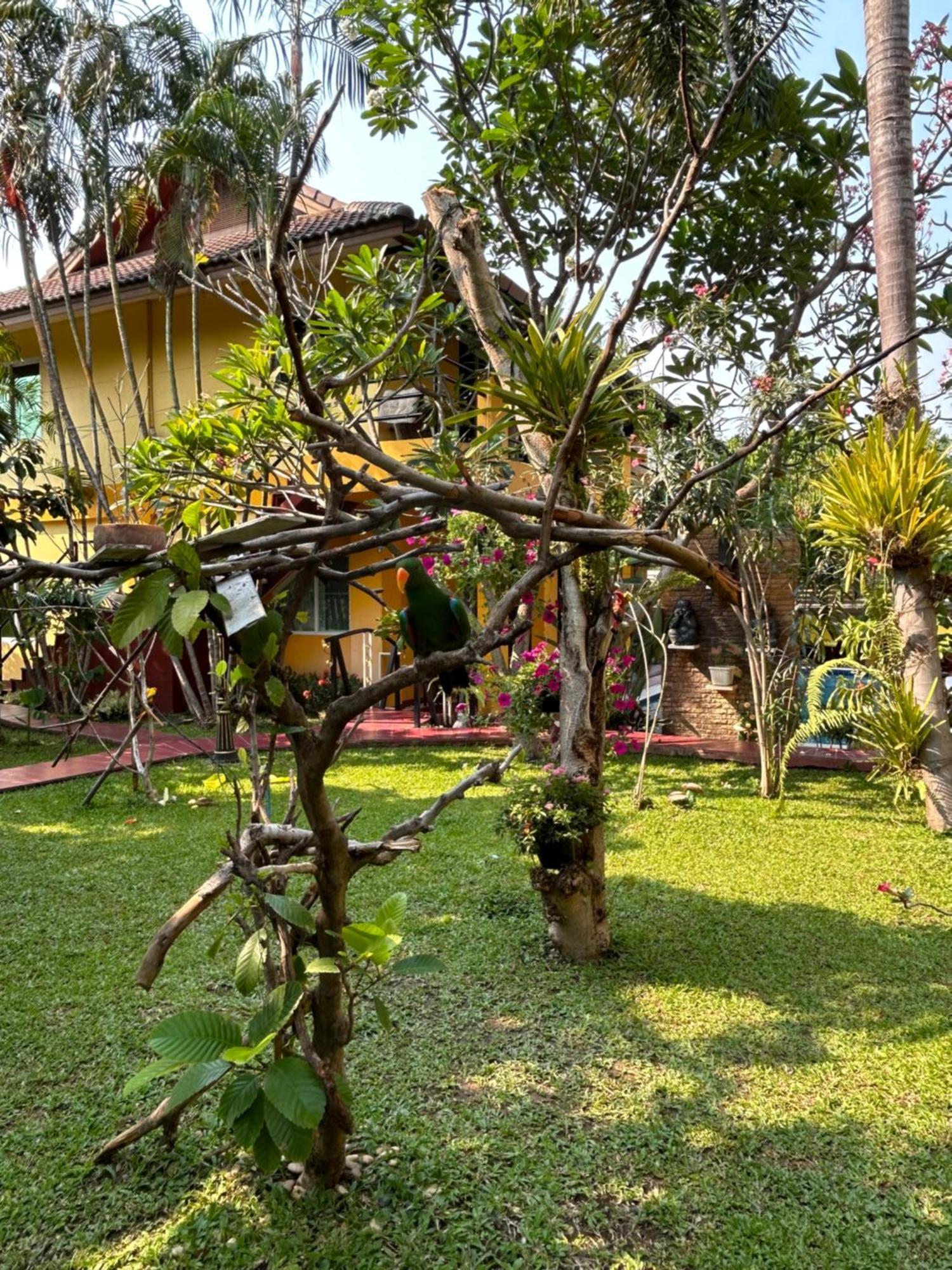 Lamduan Boutique Homestay Chiang Mai Bagian luar foto